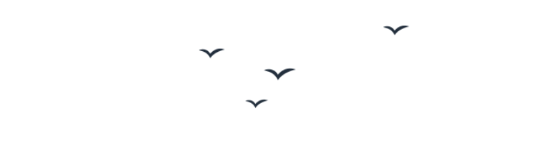 bords group